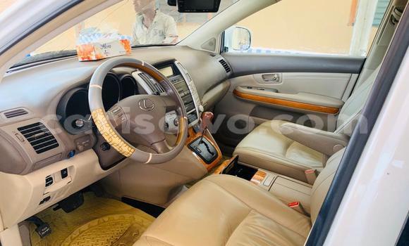 Buy New Lexus RX 330 White Car in Cotonou in Benign Buy New Lexus RX 330 White Car in Cotonou in Benign