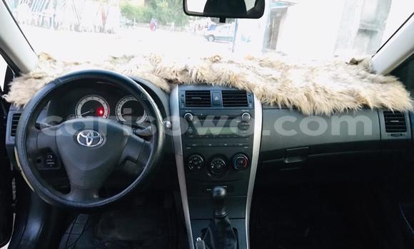 Ra Àlòkù Toyota Corolla Black Ọkọ̀ in Cotonou ni Benin Ra Àlòkù Toyota Corolla Black Ọkọ̀ in Cotonou ni Benin