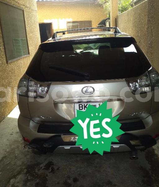 Big with watermark lexus rx 330 benin cotonou 8683