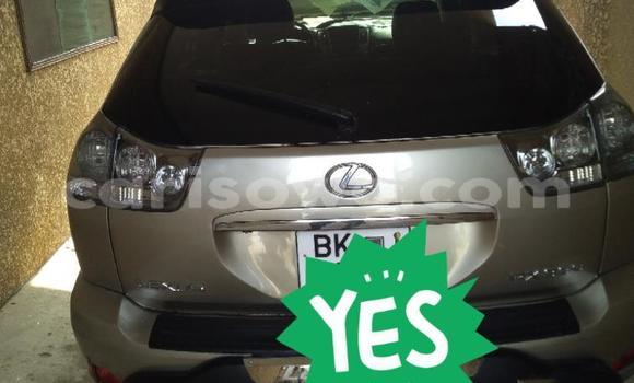 Acheter Occasion Voiture Lexus RX 330 Gris à Cotonou, Benin Acheter Occasion Voiture Lexus RX 330 Gris à Cotonou, Benin