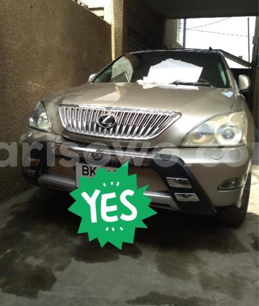 Big with watermark lexus rx 330 benin cotonou 8683