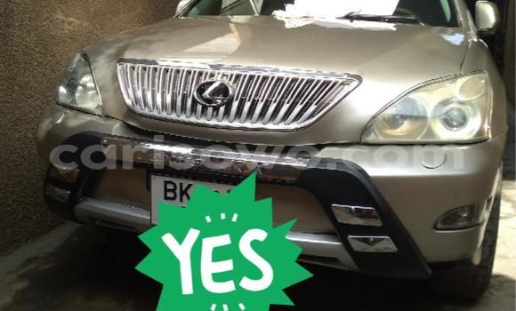 Acheter Occasion Voiture Lexus RX 330 Gris à Cotonou, Benin Acheter Occasion Voiture Lexus RX 330 Gris à Cotonou, Benin