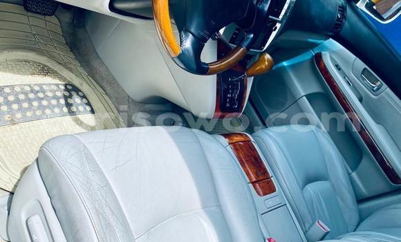 Acheter Occasion Voiture Lexus RX 330 Blanc à Cotonou, Benin Acheter Occasion Voiture Lexus RX 330 Blanc à Cotonou, Benin