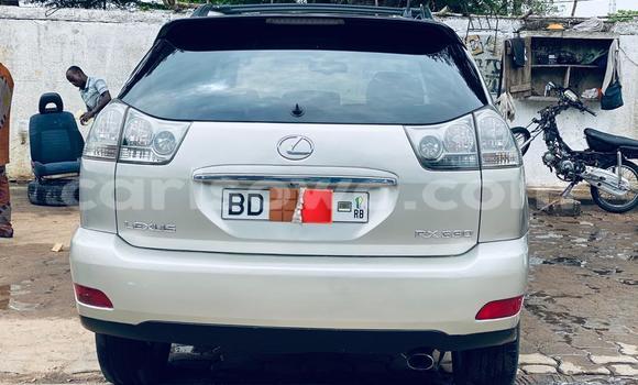 Buy Used Lexus RX 330 Silver Car in Cotonou in Benign Buy Used Lexus RX 330 Silver Car in Cotonou in Benign