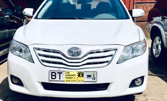 Acheter Neuf Voiture Toyota Camry Blanc à Cotonou, Benin Acheter Neuf Voiture Toyota Camry Blanc à Cotonou, Benin