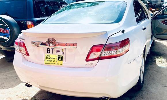 Acheter Neuf Voiture Toyota Camry Blanc à Cotonou, Benin Acheter Neuf Voiture Toyota Camry Blanc à Cotonou, Benin