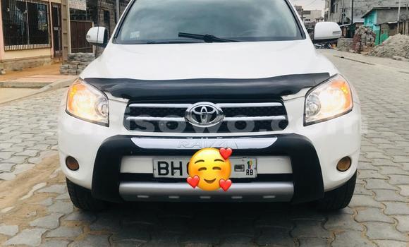 Sayi Na hannu Toyota RAV4 White Mota in Cotonou a Benin Sayi Na hannu Toyota RAV4 White Mota in Cotonou a Benin