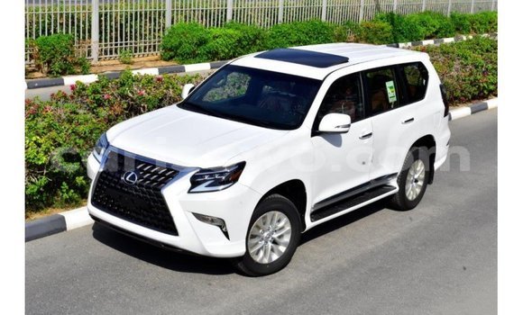 Buy Import Lexus GX White Car in Import - Dubai in Benign Buy Import Lexus GX White Car in Import - Dubai in Benign