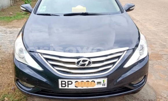 Sayi Na hannu Hyundai Sonata Blue Mota in Cotonou a Benin Sayi Na hannu Hyundai Sonata Blue Mota in Cotonou a Benin