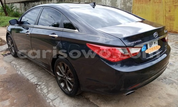 Sayi Na hannu Hyundai Sonata Blue Mota in Cotonou a Benin Sayi Na hannu Hyundai Sonata Blue Mota in Cotonou a Benin