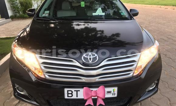 Buy New Toyota Venza Black Car in Cotonou in Benign Buy New Toyota Venza Black Car in Cotonou in Benign