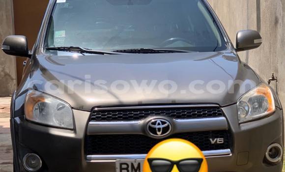 Sayi Na hannu Toyota RAV4 Brown Mota in Cotonou a Benin Sayi Na hannu Toyota RAV4 Brown Mota in Cotonou a Benin