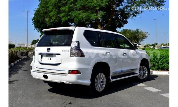 Buy Import Lexus GX White Car in Import - Dubai in Benign Buy Import Lexus GX White Car in Import - Dubai in Benign