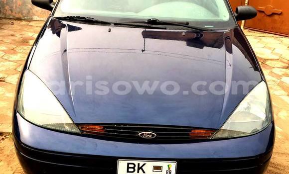 Buy Used Ford Focus Blue Car in Savalou in Benign Buy Used Ford Focus Blue Car in Savalou in Benign