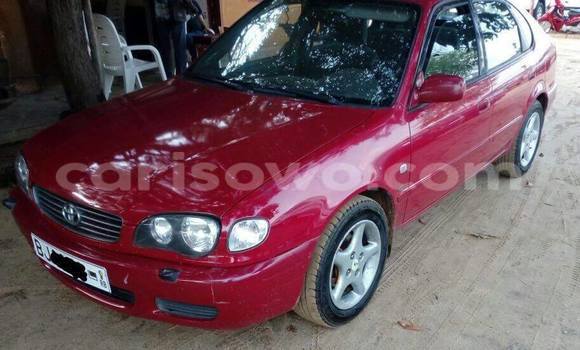 Buy Used Toyota Corolla Red Car in Savalou in Benign Buy Used Toyota Corolla Red Car in Savalou in Benign
