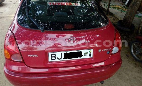 Buy Used Toyota Corolla Red Car in Savalou in Benign Buy Used Toyota Corolla Red Car in Savalou in Benign