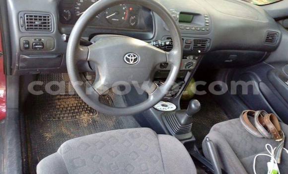 Buy Used Toyota Corolla Red Car in Savalou in Benign Buy Used Toyota Corolla Red Car in Savalou in Benign