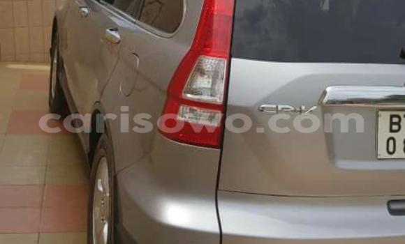 Buy Used Honda CR–V Silver Car in Cotonou in Benign Buy Used Honda CR–V Silver Car in Cotonou in Benign