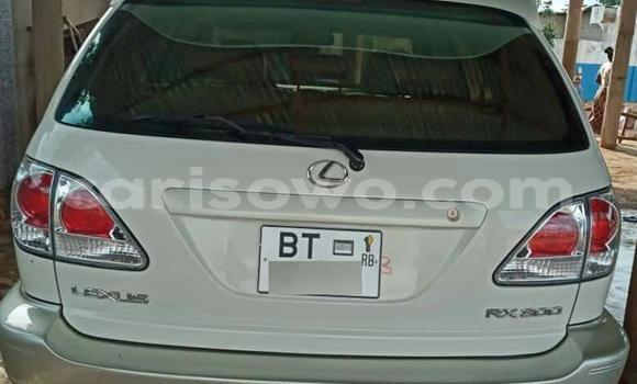 Buy Used Lexus RX 300 Silver Car in Cotonou in Benign Buy Used Lexus RX 300 Silver Car in Cotonou in Benign