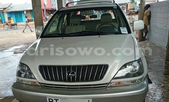 Buy Used Lexus RX 300 Silver Car in Cotonou in Benign Buy Used Lexus RX 300 Silver Car in Cotonou in Benign