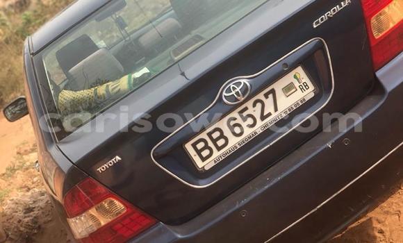 Ra Àlòkù Toyota Corolla Black Ọkọ̀ in Cotonou ni Benin Ra Àlòkù Toyota Corolla Black Ọkọ̀ in Cotonou ni Benin