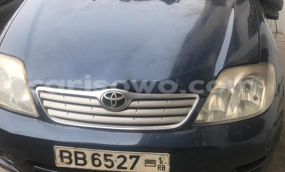 Ra Àlòkù Toyota Corolla Black Ọkọ̀ in Cotonou ni Benin Ra Àlòkù Toyota Corolla Black Ọkọ̀ in Cotonou ni Benin