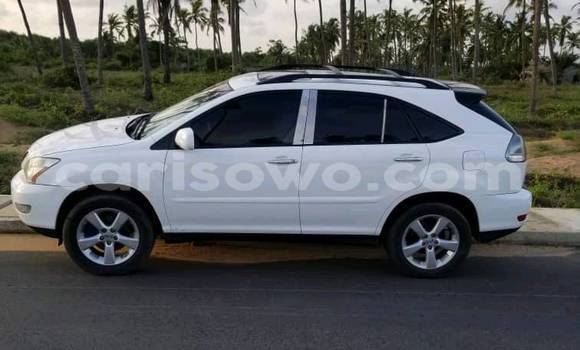 Buy New Lexus RX 330 White Car in Cotonou in Benign Buy New Lexus RX 330 White Car in Cotonou in Benign
