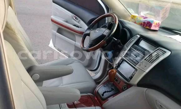 Buy New Lexus RX 330 White Car in Cotonou in Benign Buy New Lexus RX 330 White Car in Cotonou in Benign