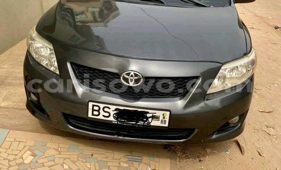 Acheter Neuf Voiture Toyota Corolla Noir à Cotonou, Benin Acheter Neuf Voiture Toyota Corolla Noir à Cotonou, Benin