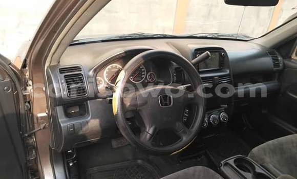 Buy Used Honda CR–V Brown Car in Cotonou in Benign Buy Used Honda CR–V Brown Car in Cotonou in Benign