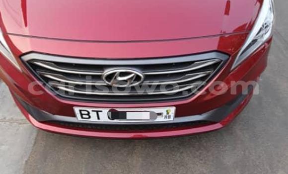Ra Tuntun Hyundai Sonata Red Ọkọ̀ in Cotonou ni Benin Ra Tuntun Hyundai Sonata Red Ọkọ̀ in Cotonou ni Benin