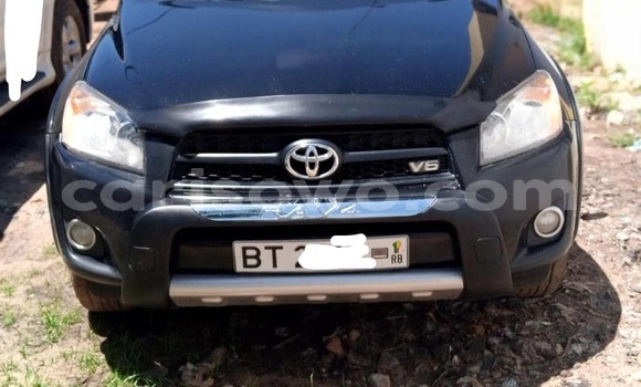 Buy New Toyota RAV4 Black Car in Cotonou in Benign Buy New Toyota RAV4 Black Car in Cotonou in Benign