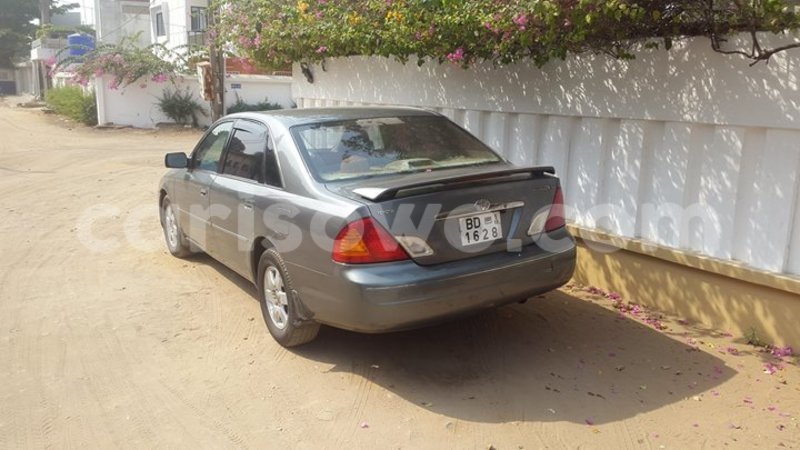 Big with watermark 15284065 1129442633839910 5230908860684797680 n