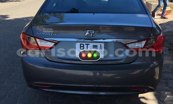 Buy Used Hyundai Sonata Beige Car in Cotonou in Benign Buy Used Hyundai Sonata Beige Car in Cotonou in Benign