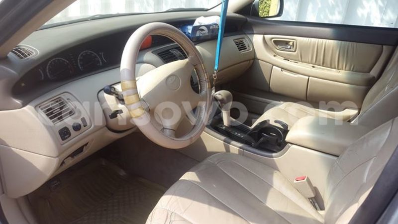 Big with watermark 15578737 1281570078576389 5086098407229006862 n