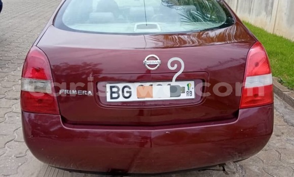 Buy Used Nissan Primera Red Car in Cotonou in Benign Buy Used Nissan Primera Red Car in Cotonou in Benign