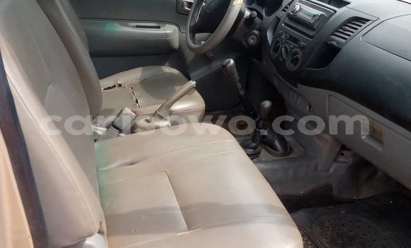 Sayi Na hannu Toyota Hilux Brown Mota in Cotonou a Benin Sayi Na hannu Toyota Hilux Brown Mota in Cotonou a Benin