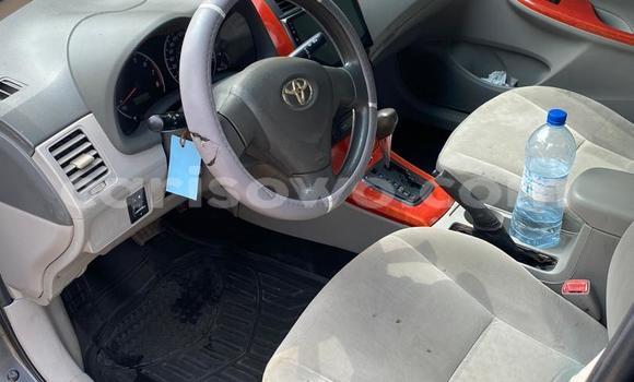 Buy New Toyota Corolla Black Car in Cotonou in Benign Buy New Toyota Corolla Black Car in Cotonou in Benign