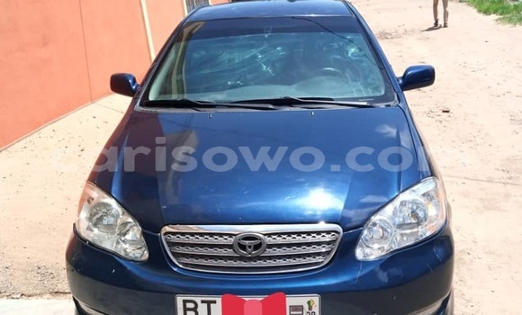 Acheter Occasion Voiture Toyota Corolla Bleu à Cotonou, Benin Acheter Occasion Voiture Toyota Corolla Bleu à Cotonou, Benin