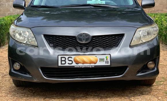 Buy New Toyota Corolla Black Car in Cotonou in Benign Buy New Toyota Corolla Black Car in Cotonou in Benign