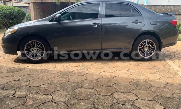 Buy New Toyota Corolla Black Car in Cotonou in Benign Buy New Toyota Corolla Black Car in Cotonou in Benign