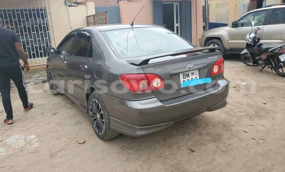 Ra Tuntun Toyota Corolla Silver Ọkọ̀ in Cotonou ni Benin Ra Tuntun Toyota Corolla Silver Ọkọ̀ in Cotonou ni Benin