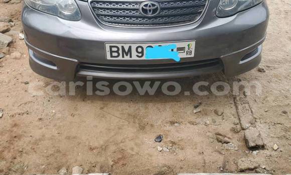 Ra Tuntun Toyota Corolla Silver Ọkọ̀ in Cotonou ni Benin Ra Tuntun Toyota Corolla Silver Ọkọ̀ in Cotonou ni Benin