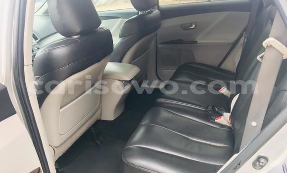 Buy New Toyota Venza Silver Car in Cotonou in Benign Buy New Toyota Venza Silver Car in Cotonou in Benign