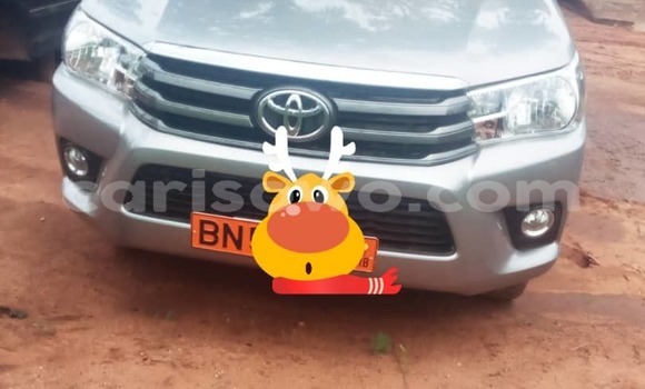 Acheter Occasion Voiture Toyota Hilux Gris à Cotonou, Benin