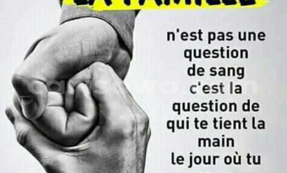 Sayi Na hannu Alpine A610 Brown Mota in Bassila a Benin