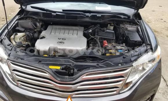 Buy New Toyota Venza Black Car in Cotonou in Benign Buy New Toyota Venza Black Car in Cotonou in Benign