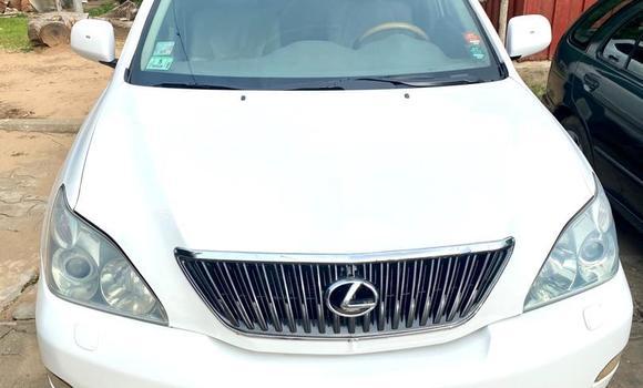 Buy New Lexus RX 330 White Car in Cotonou in Benign