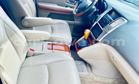 Buy New Lexus RX 330 White Car in Cotonou in Benign Buy New Lexus RX 330 White Car in Cotonou in Benign