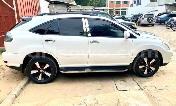 Buy New Lexus RX 330 White Car in Cotonou in Benign Buy New Lexus RX 330 White Car in Cotonou in Benign